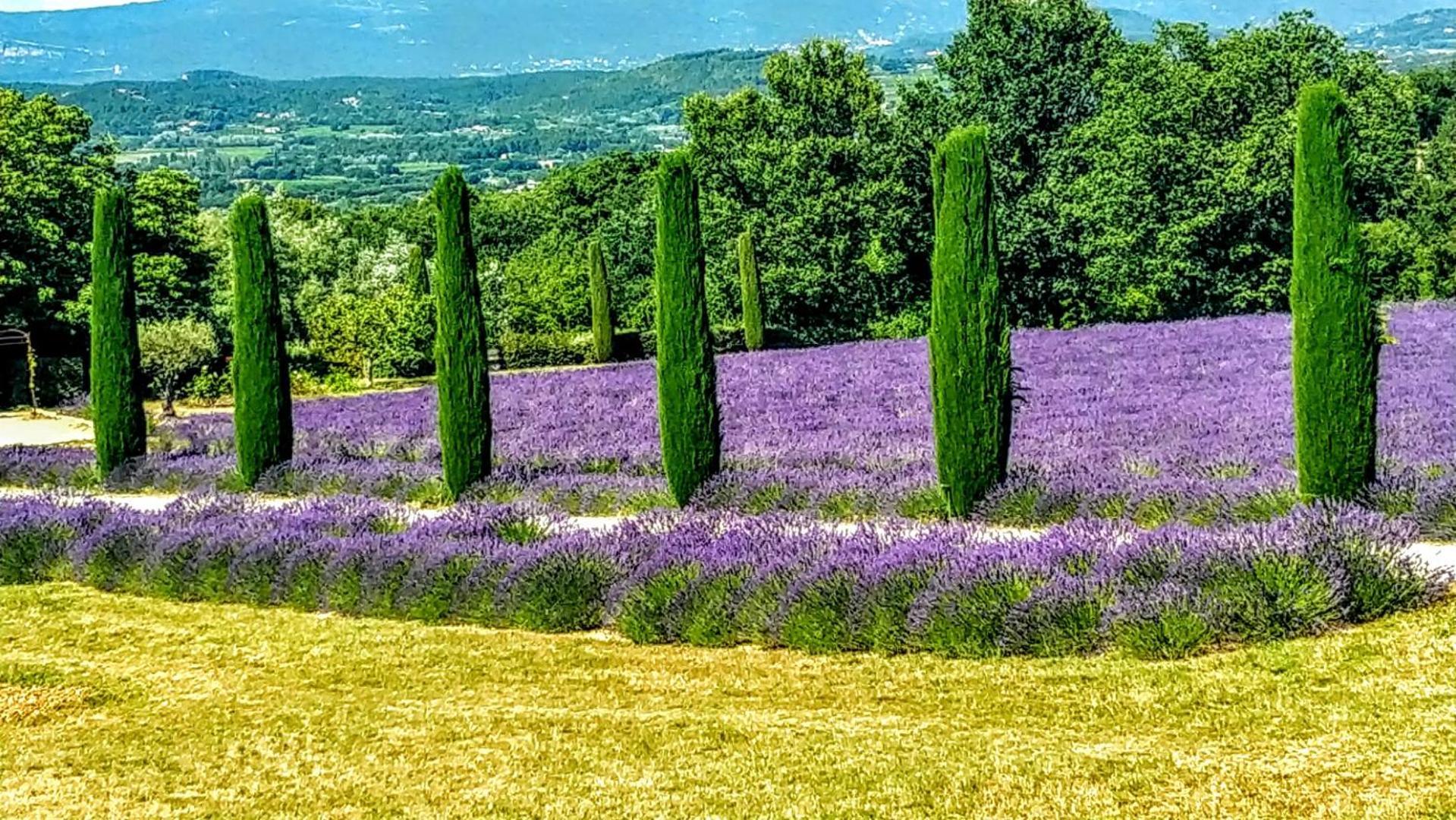 Le Mas De Roussillon Roussillon en Isere Exteriör bild